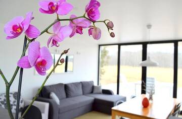 Фото номера Дом с 2 спальнями Гостевой дом Härmati Holiday House г. Насва 24