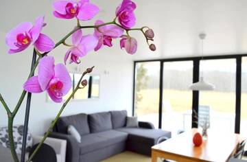 Фото номера Дом с 2 спальнями Гостевой дом Härmati Holiday House г. Насва 40